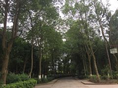 -邓小平故里