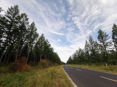 -塞罕坝国家级自然保护区