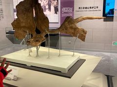 -北京周口店北京人遗址博物馆