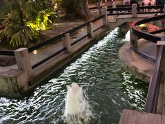 -阳春市花园酒店