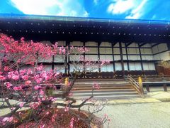 -京都御所