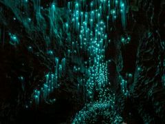 -怀托摩萤火虫洞