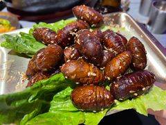 -围炉肉舍•炭烤活鳗•丹东海鲜烤肉(步行街店)