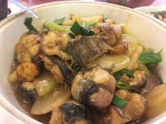 -南记老牌牛骨汤