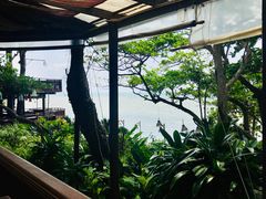 -卷心菜和避孕套餐厅(Pattaya)