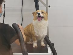 -comecome来吧宠物(奥克斯中心店)