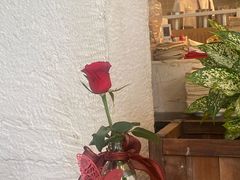 -Mark&Mars Restaurant