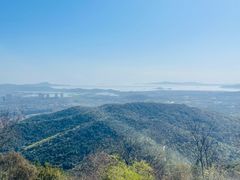 -惠山国家森林公园