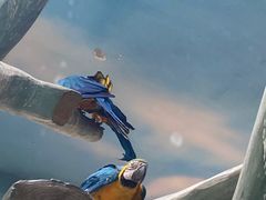 -石家庄市动物园