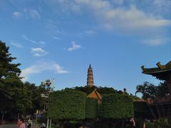 -顺峰山公园