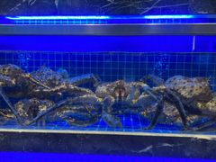 -锦色·烧鹅·海鲜(臻享店)