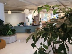 -观心实验室·心理咨询(上海旗舰店)