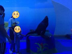 -蓬莱欧乐堡海洋极地世界