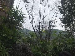 -剑河仰阿莎温泉小镇