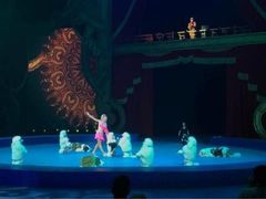 -珠海横琴长隆《卡卡虎奇遇记》