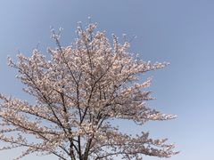 -石湖景区