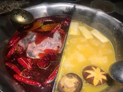 -湊湊火锅·茶憩(石家庄万象城店)