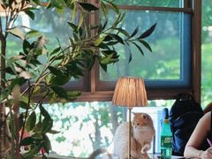 -咖法森林·咖啡  酒吧(天河店)