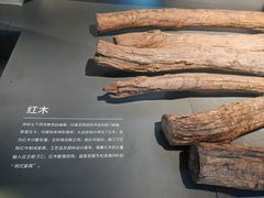 -郑和公园