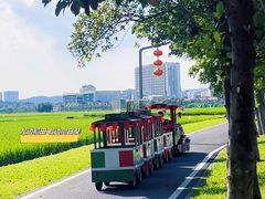 -光明小镇欢乐田园