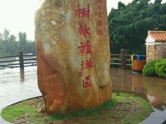 -东寨港红树林旅游区