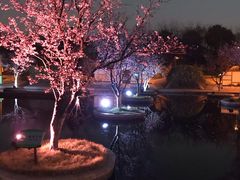 -白塘生态植物园