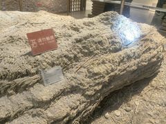 -敦煌市博物馆