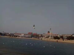 -老虎石海上公园