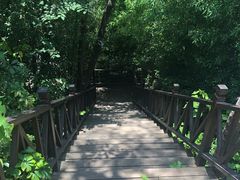 -南诏风情岛