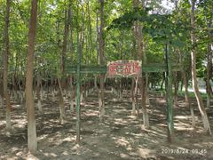 -亲兄弟真人CS团建拓展基地
