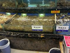 -欢乐海岸美食联盟