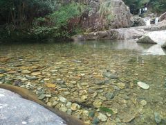 -花岩国家森林公园