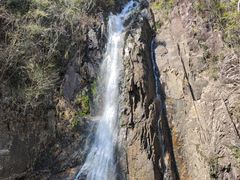 -姑婆山旅游区