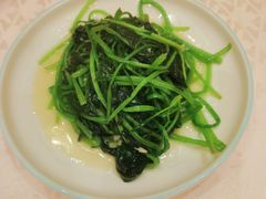 蒜蓉菠菜-金陵之星大酒店·中餐厅