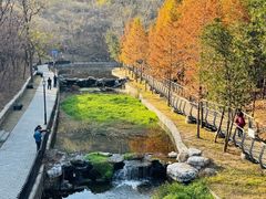 -白水寺森林公园