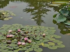 -国家植物园南园