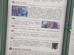 -嘉定紫藤园