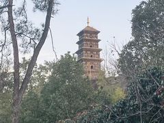 -九华山公园