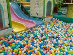 -南宫五洲植物乐园