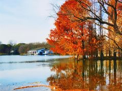 -上海共青森林公园