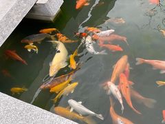 -嘉兴清池酒店温泉