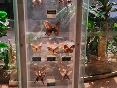 -陕西自然博物馆