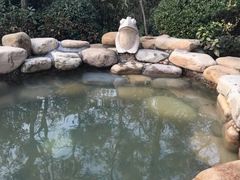 -天目湖涵田半山温泉