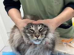 -达爱动物医院·犬猫分区·CT·复杂眼科(远洋山水分院)