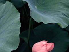 -玄武湖景区-情侣园游乐场