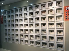 -石家庄市动物园