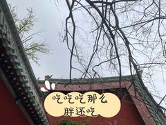 -包公祠