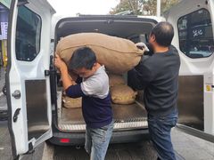 -高记福桂桂花糖炒栗(鼓楼店)
