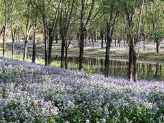 -东郊湿地公园