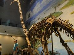 -自贡恐龙博物馆
